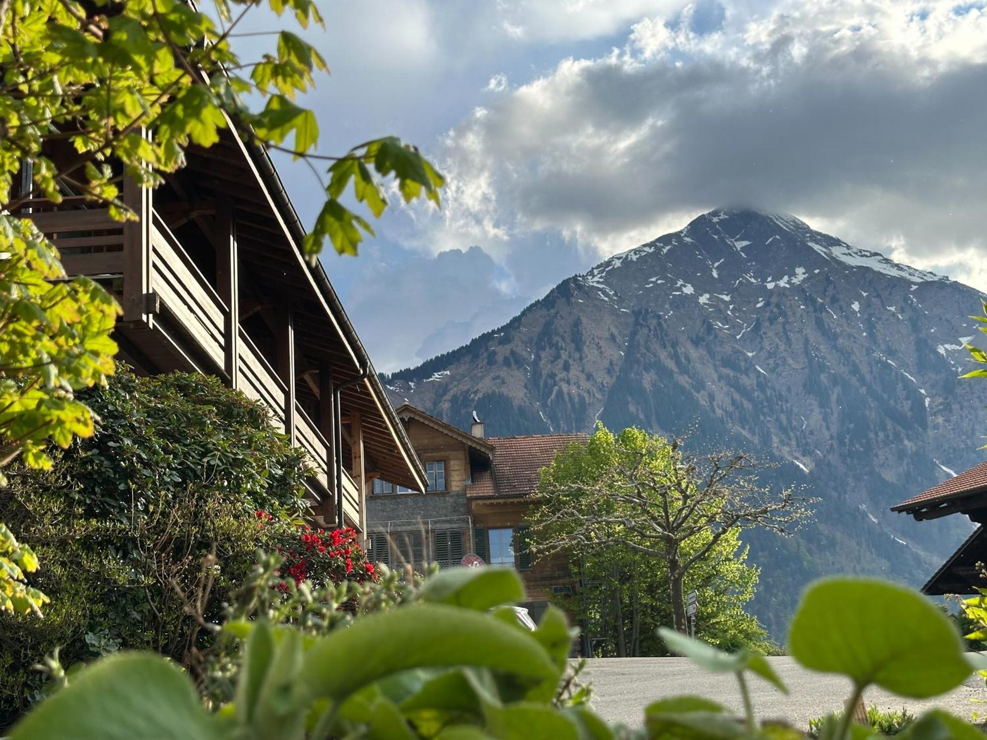 Hotel Aeschipark Aeschi Bei Spiez Bagian luar foto